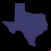  Texas 